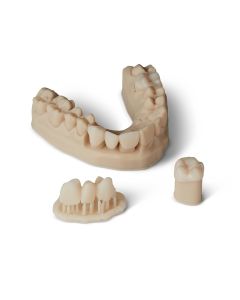 Formlabs BEGO VarseoSmile TriniQ B1
